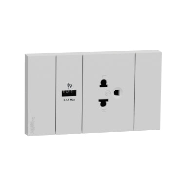 Socket-outlet Universal - Avataron A-  16AX 250Volts - Schneider
