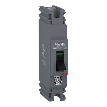 Molded Case Circuit Breaker (MCCB) - Easypact EZC 100 - Schneider Electric